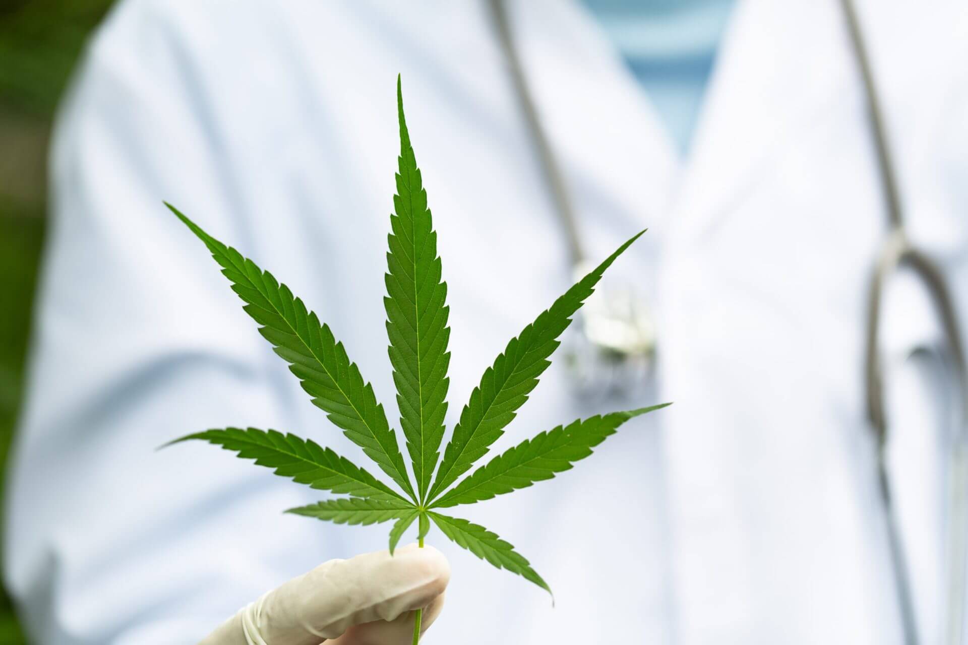 The Fastest Way to Apply for a Medical Marijuana Card in Kentucky